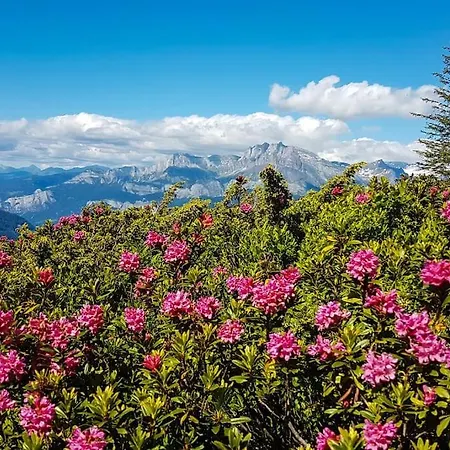 Exceptional View Of Village And Mountain * Megève