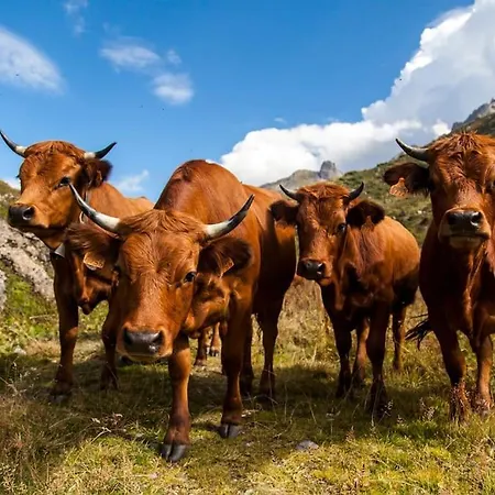 Exceptional View Of Village And Mountain Appartement *