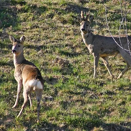 Exceptional View Of Village And Mountain Appartement