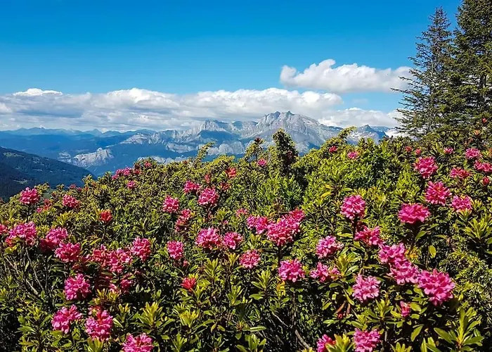 Exceptional View Of Village And Mountain * Megève