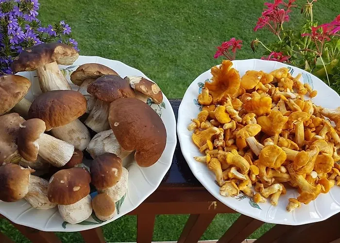 Appartement Exceptional View Of Village And Mountain *