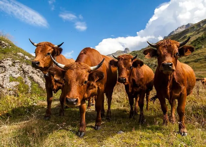 Exceptional View Of Village And Mountain Appartement *