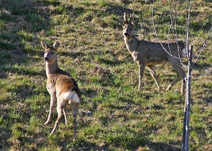 Exceptional View Of Village And Mountain Appartement